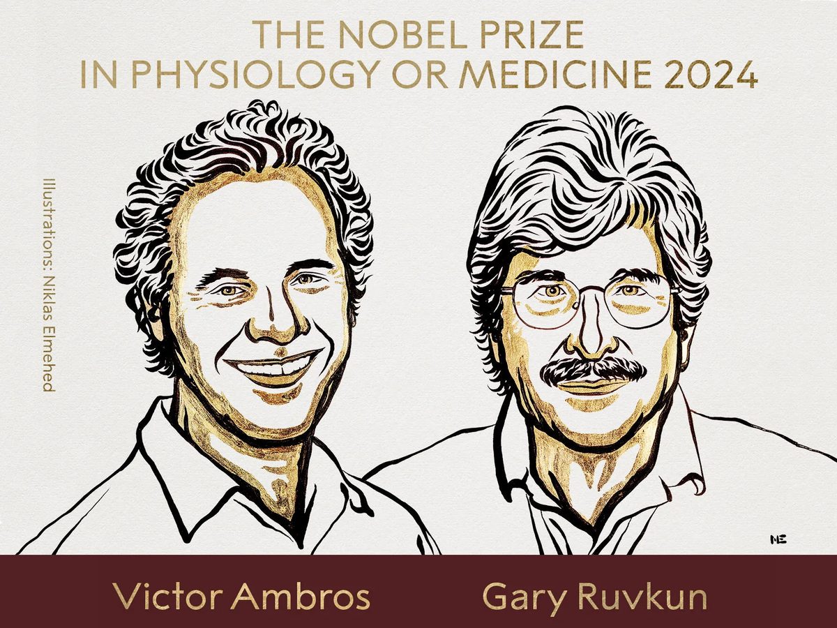 2024诺贝尔生理学或医学奖得主邀约